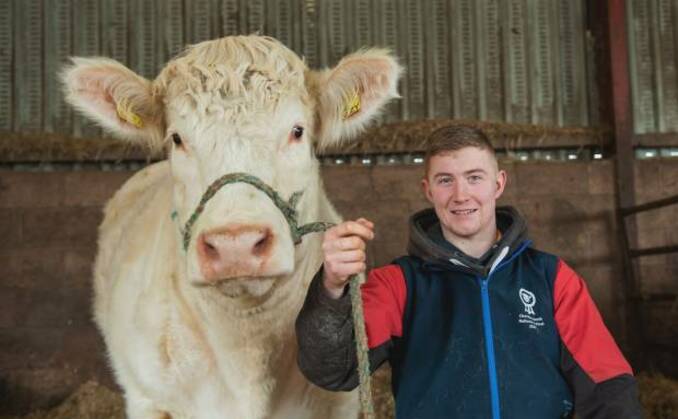 Young Farmer Sean Mitchell: "To be successful, it takes time, dedication and effort. I can see this through all of my business."