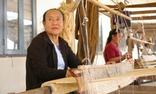 Ox relishing pastures in Laos