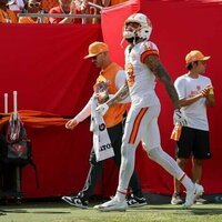 Buccaneers standout WR Mike Evans (hamstring) exits win