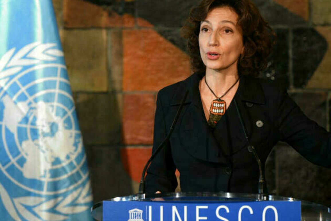 UAE key partner in heritage protection: UNESCO Chief