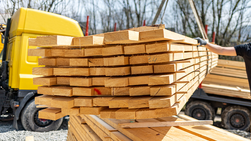 Image: Leszek Glasner/Shutterstock
