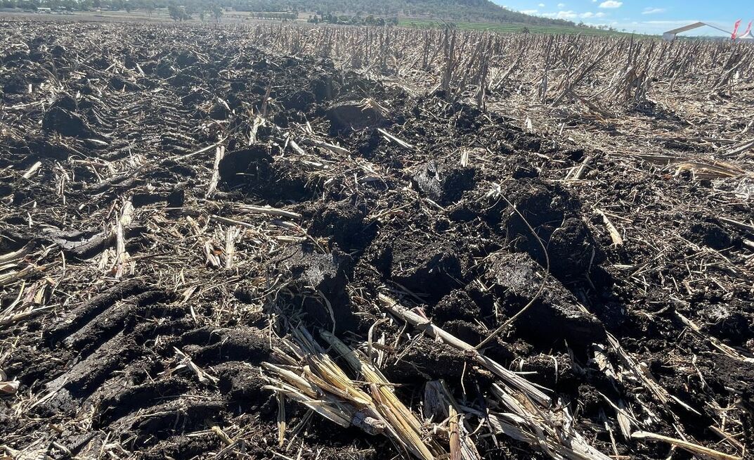 New research has shown there is potential for primary producers to be rewarded for good soil stewardship.