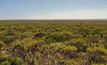 Arrowsmith country.
