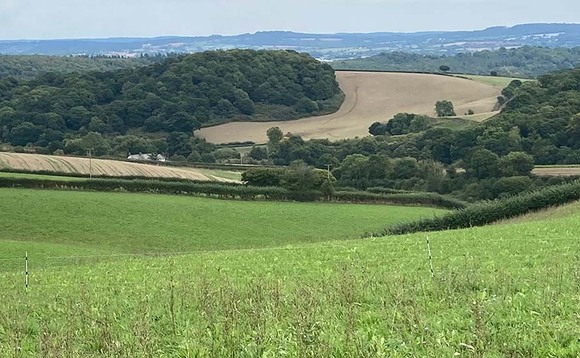 Maximise benefits of paddock grazing