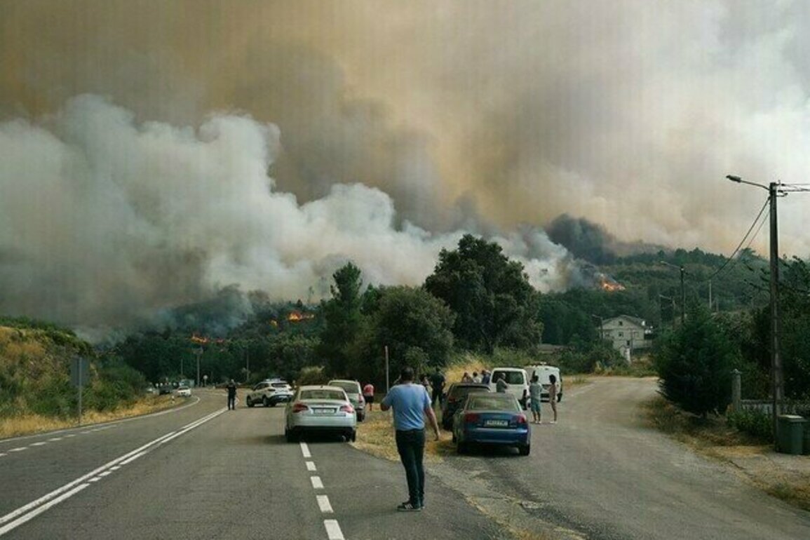 Climate Change Made Heat and Dryness That Fueled Iberian Wildfires 40 Times More Likely