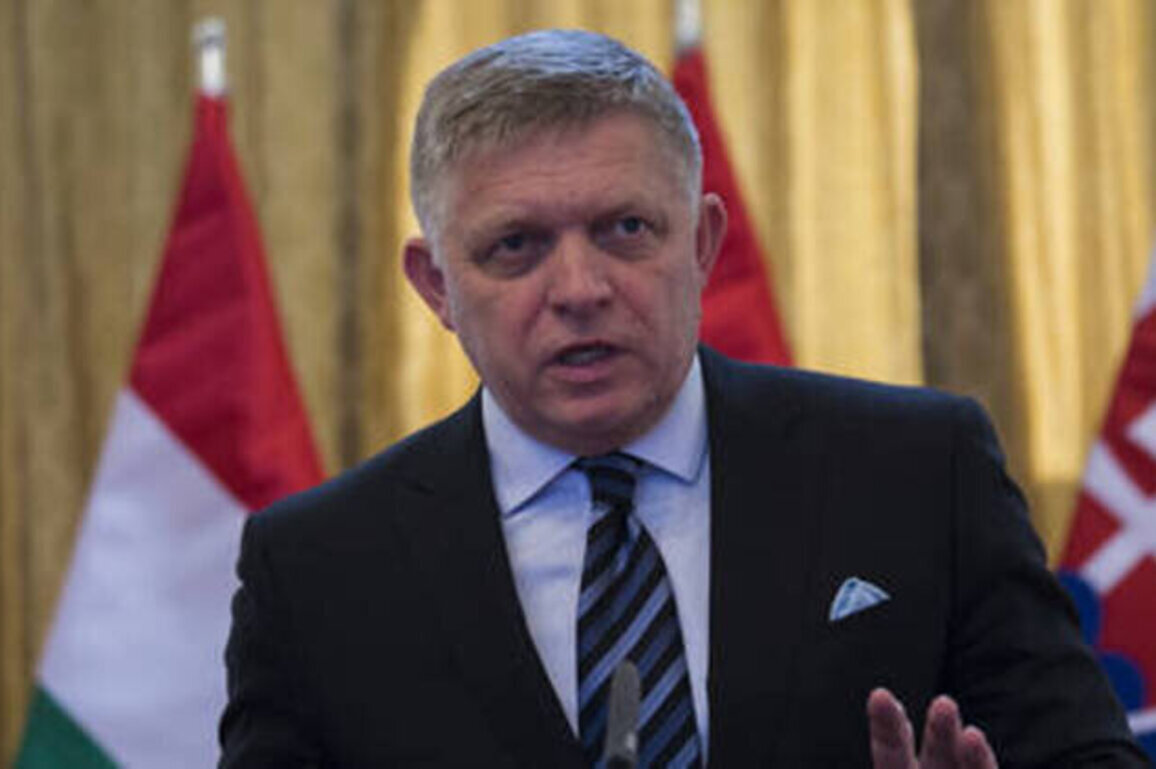 Zelensky seeking to 'punish' Slovakia for peace aspirations - Fico