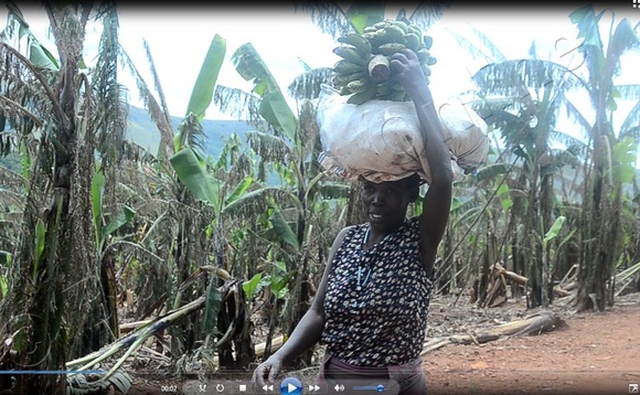 Ezimu ku nsuku ezaayonoonebwa kibuyaga n'omuzira ogw'amaanyi e Kashari. Ezimu ku nsuku ezaayonoonebwa kibuyaga n'omuzira ogw'amaanyi e Kashari.