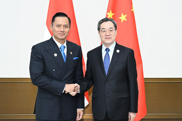 CHINA-HAINAN-BOAO-DING XUEXIANG-INDONESIA-MEETING (CN)