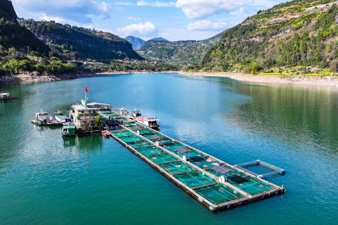 CHINA-CHONGQING-BIODIVERSITY-CONSERVATION (CN)