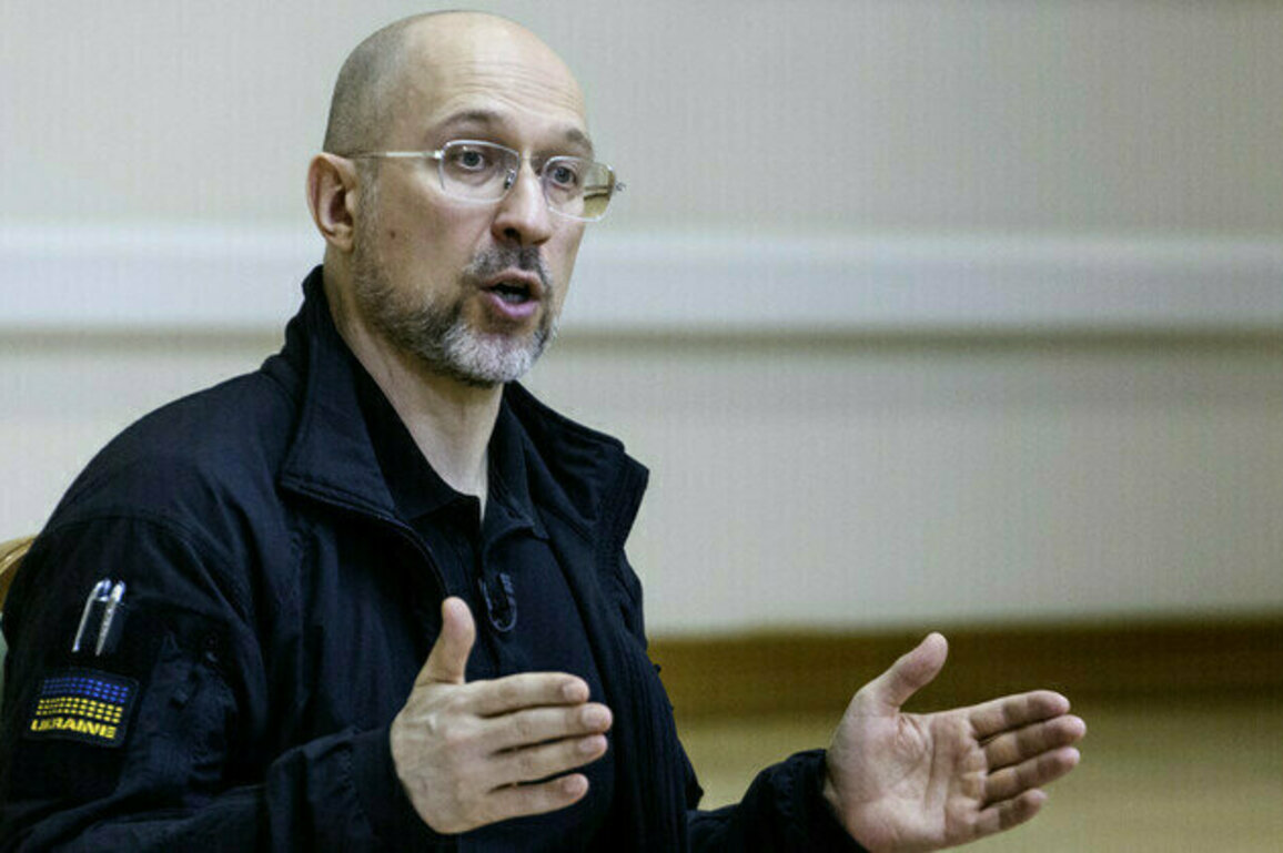 Ukrainian PM offers critical minerals to EU
