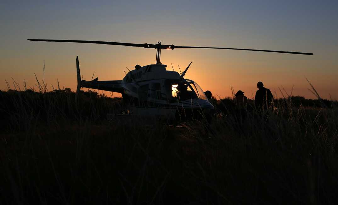 Tali takes off like a rocket 