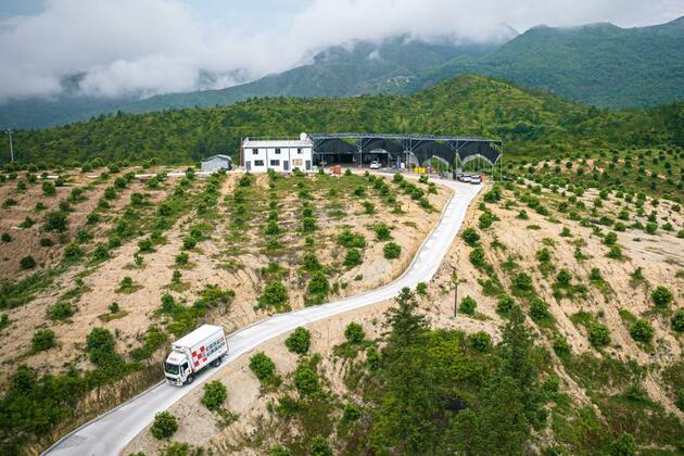 EconomyInFocus | Premium waxberries exported via air to Frankfurt from east China's mountainous county