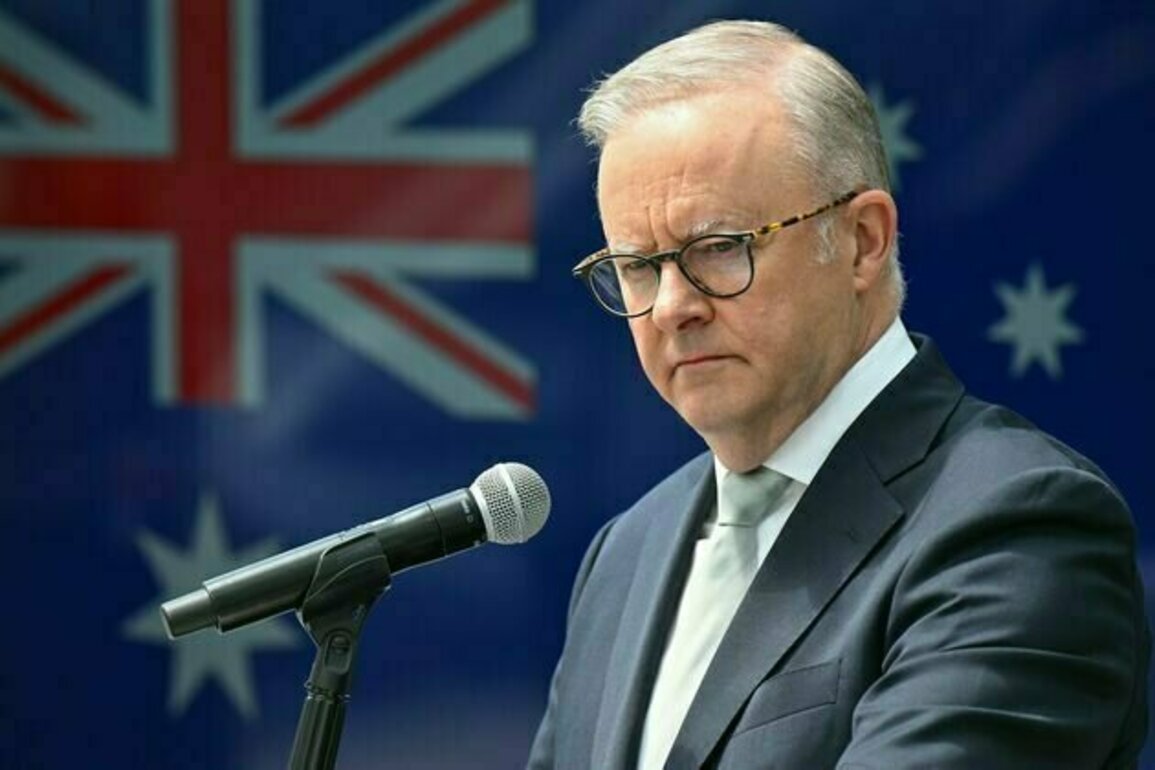 Muted response from Albanese government on US attack on Iran