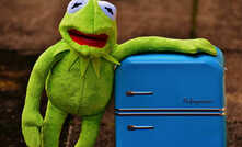 What do the Carrapateena copper project in South Australia and Kermit the frog have in common? It's not easy ...