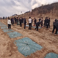 CHINA-SHANXI-MAURITANIA-TREE PLANTING-TECHNOLOGY (CN)