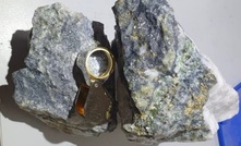  Visible gold from Kaiser Reef's A1 mine