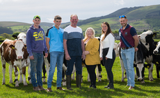 Cross breeding programme brings benefits to family dairy farm