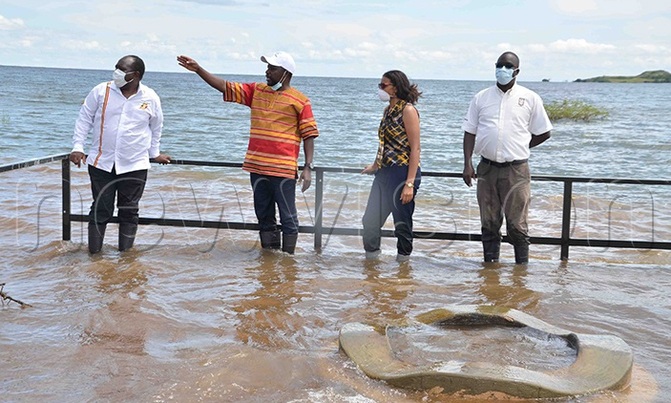 Ngamba Island Chimp Sanctuary hit by rising water levels Ngamba Island Chimp Sanctuary hit by rising water levels