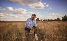 Emissions reductions activities include planting of locally appropriate trees, supplementary feeding to reduce methane emissions, and improving flock productivity.