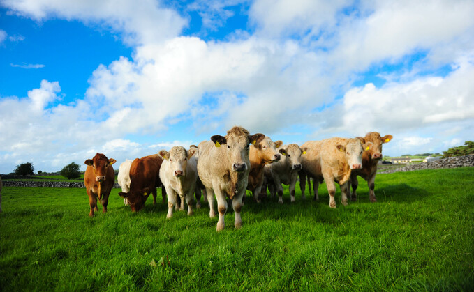 Government launches call for evidence on how to tackle livestock methane emissions