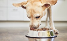 KKR buys New Zealand's Natural Pet Food from Pioneer