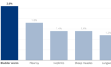 Bladder worm tops the list of the most common of 19 monitored health sheep conditions, with 2.6 per cent of tested sheep infected in 2023-24. 