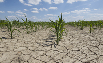 Food production at risk as extreme weather hampers water supply