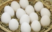 WA egg producers want answers