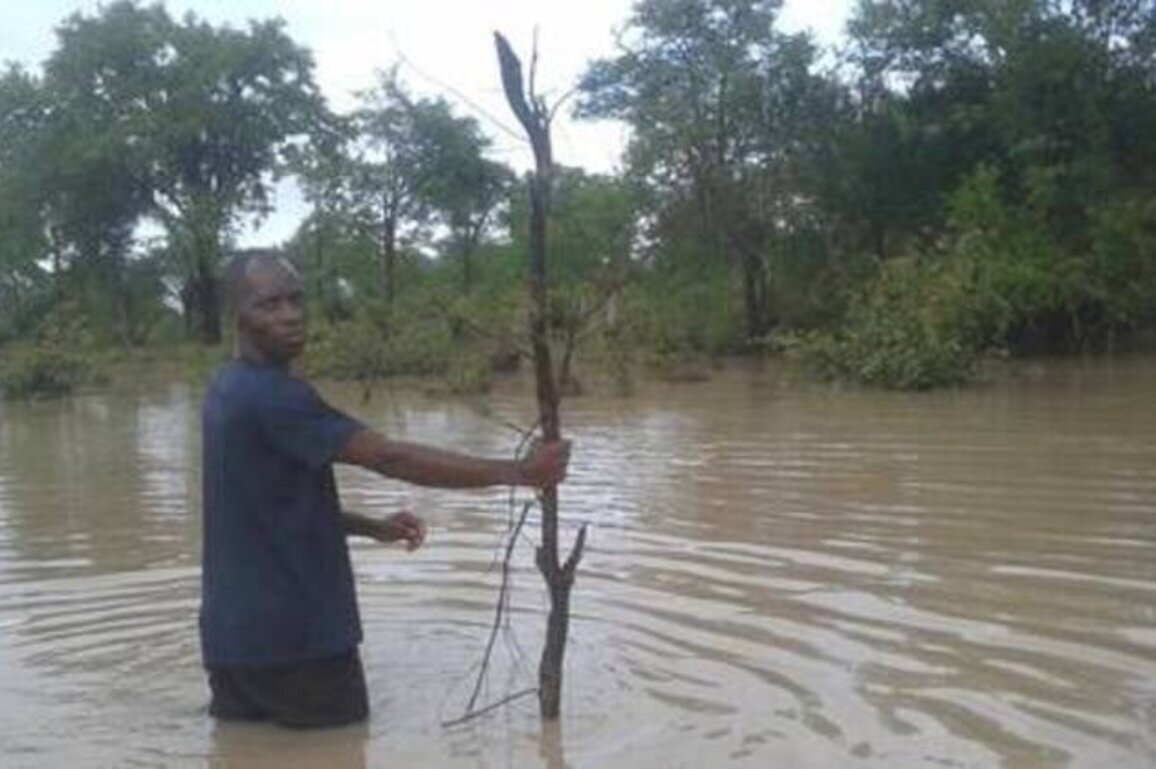 Storms force shutdown of key Angolan export route - media