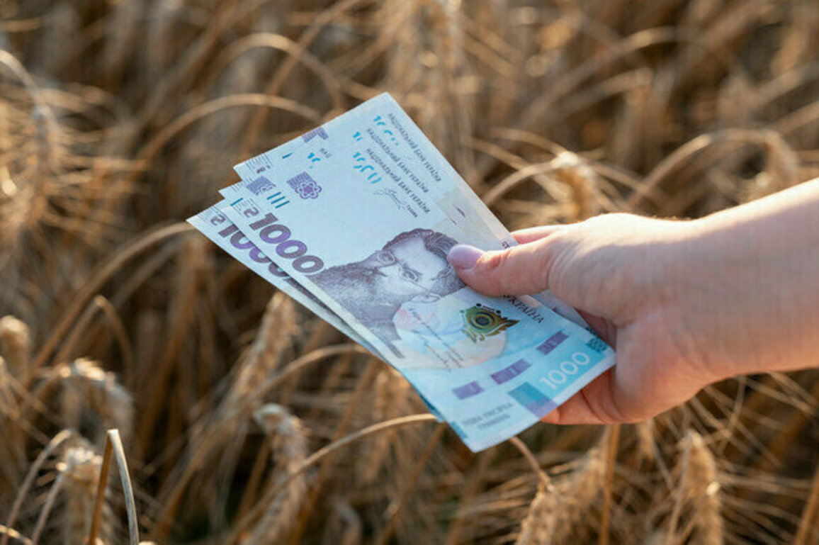 IMF pushes Kiev to weaken currency  Bloomberg
