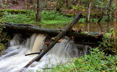 Flooding frustration