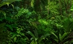 Garimpo sites cover vast swathes of land inside the Amazon.