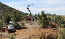  TriMetals will use the remaining funds to focus on its Gold Springs project in the US