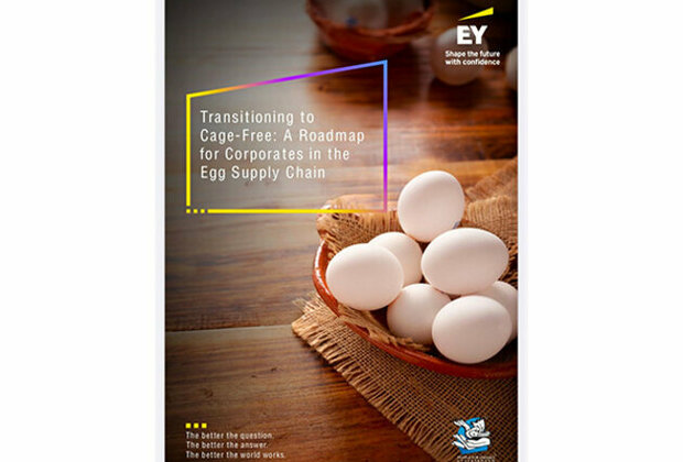 EY and People for Animals Uttarakhand launch a Cage-Free Implementation Guide to Assist Corporations in Ethical Cage-free Egg Sourcing