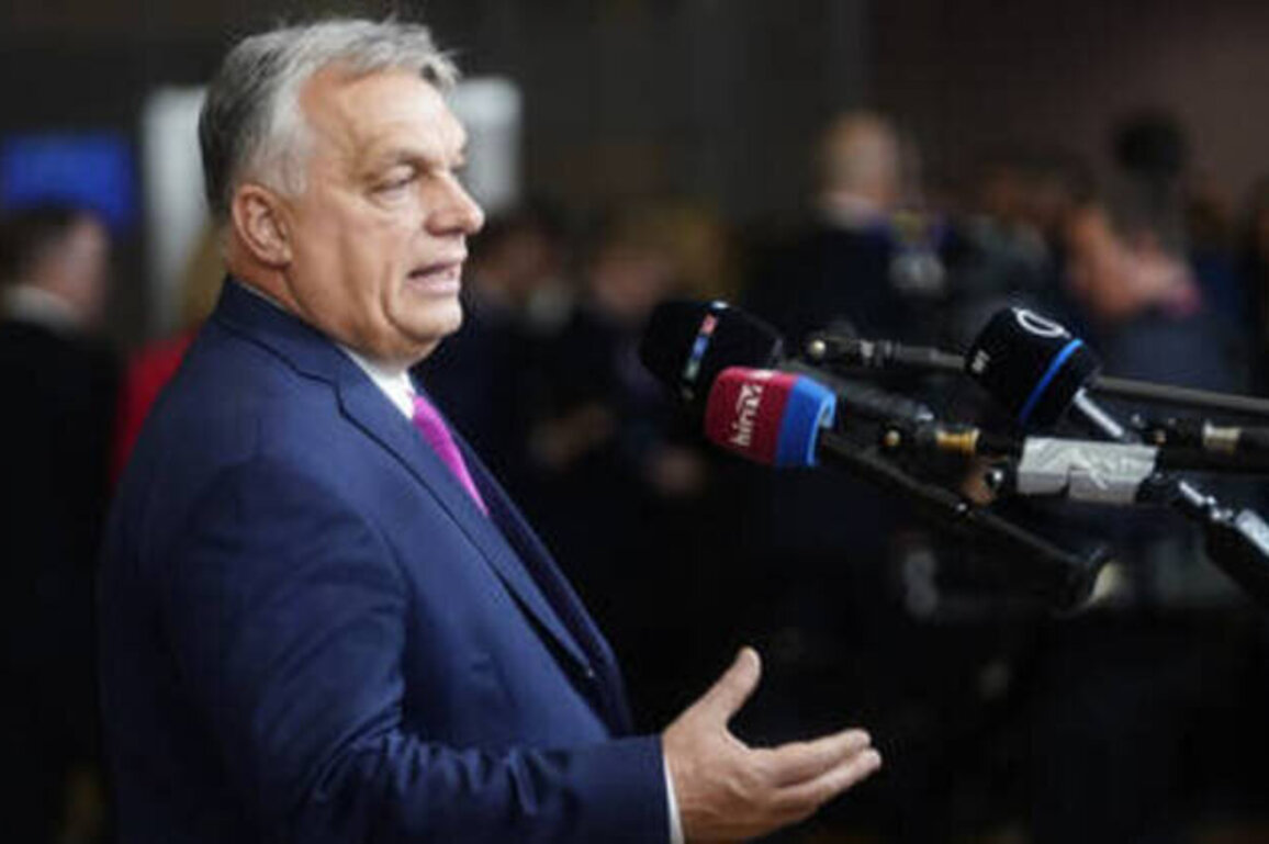 EU making war plans while Russia and US talk peace - Orban