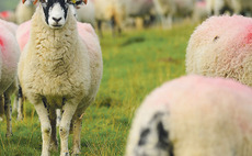 Farmers warn AHDB to use ballot results as a wake up call