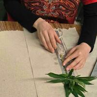 Dabney- Blazing new trails in cannabis research and education