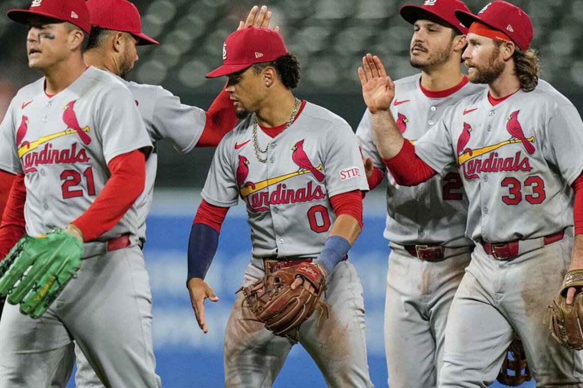 Why Cardinals are 'on a tear' is the talk of their dugout