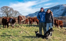 Couple put biodiversity first on upland farm in Cumbria - 'we let nature and biodiversity restore itself, with support of the livestock'