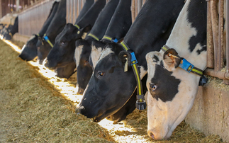 Partner Insight: Preventative health as the foundation of farm resilience