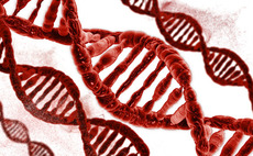 Gilde leads €25m series-C for Stat-Diagnostica