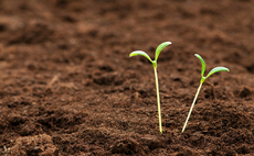 Germany: Public venture funds providing the seeds of growth