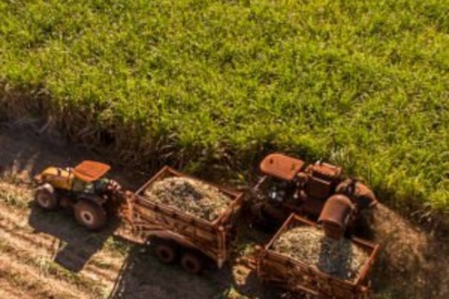 Tongaat shares suspended to &#039;protect investors&#039;