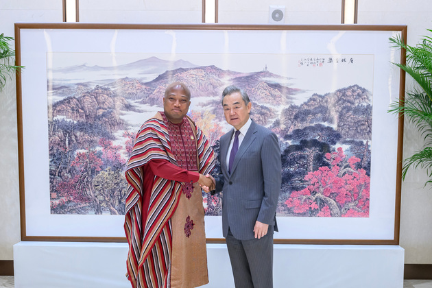 CHINA-HUNAN-CHANGSHA-WANG YI-GHANA-FM-MEETING (CN)