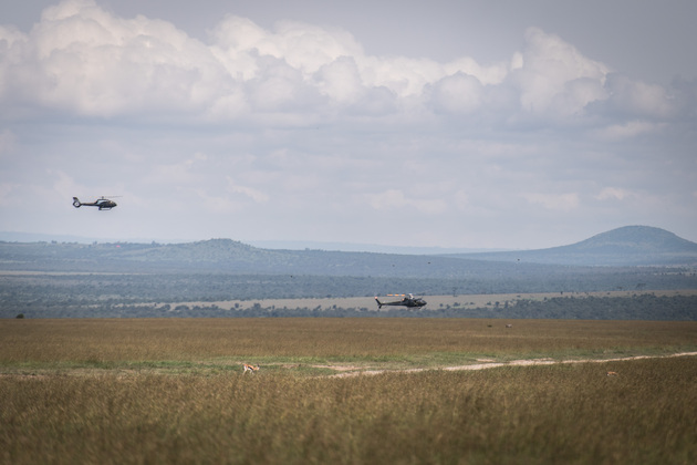 KENYA-LAIKIPIA-BLACK RHINO-TRANSLOCATION