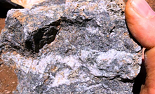 Amostra com mineralização de sulfeto do projeto Molly Jangada ouro