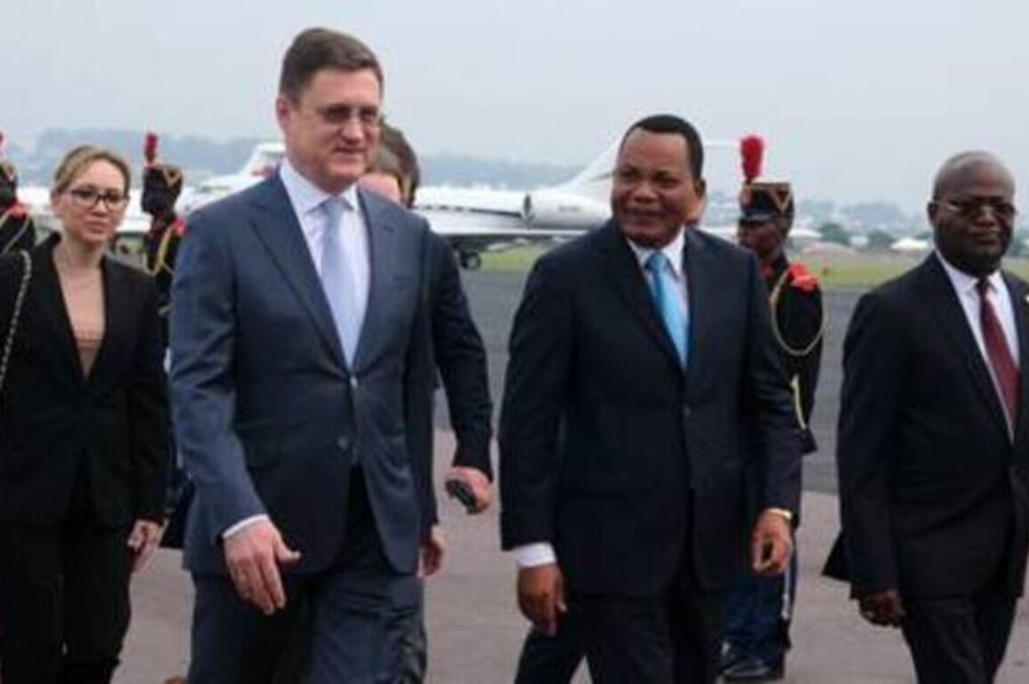 Joint projects to strengthen Russia-Congo ties - deputy PM (VIDEO)