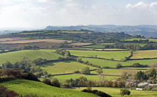 English farmland area at lowest ever in 2024