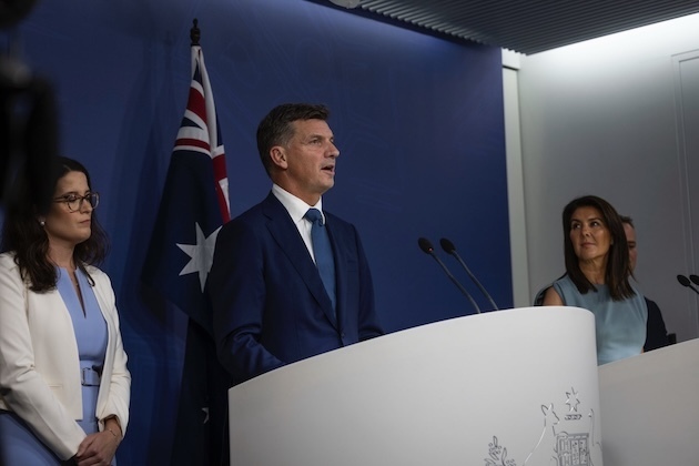 Australians nudge out One Nation in return of support for Coalition 