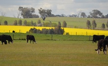  Lead poisoning can be avoided by cleaning up around the farm.